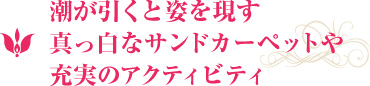 潮が引くと姿を現す真っ白なサンドカーペットや充実のアクティビティ