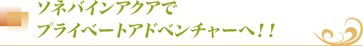 ソネバアクアでプライベートアドベンチャーへ！！