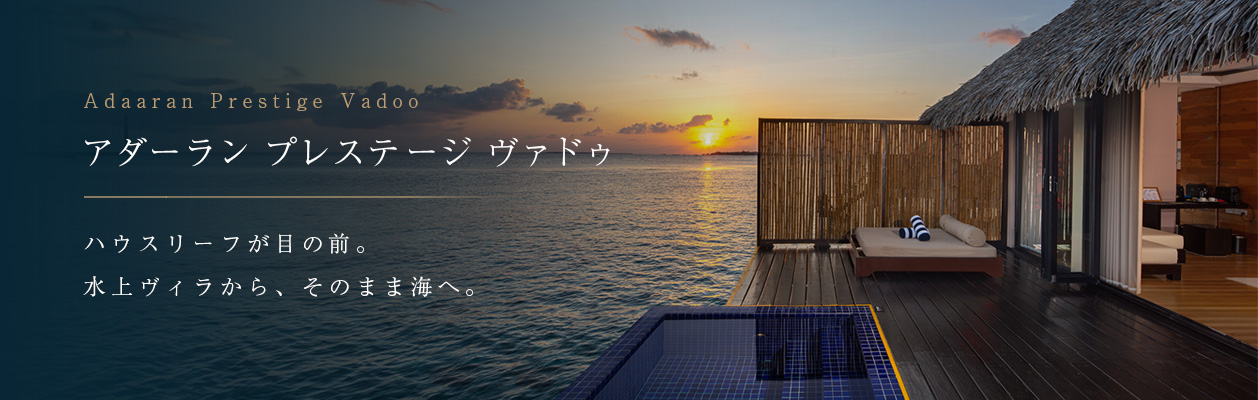 アダーラン プレステージ ヴァドゥ