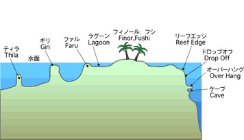 横から見ると・・・