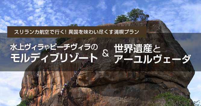 異国を味わい尽くす満喫プラン