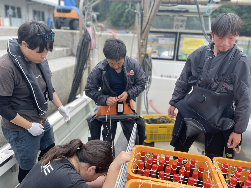 【海底熟成ワイン】いよいよ今週末　陸揚げ！！