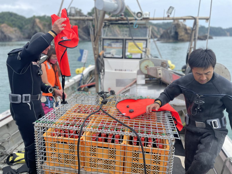 【海底熟成ワイン】いよいよ今週末　陸揚げ！！