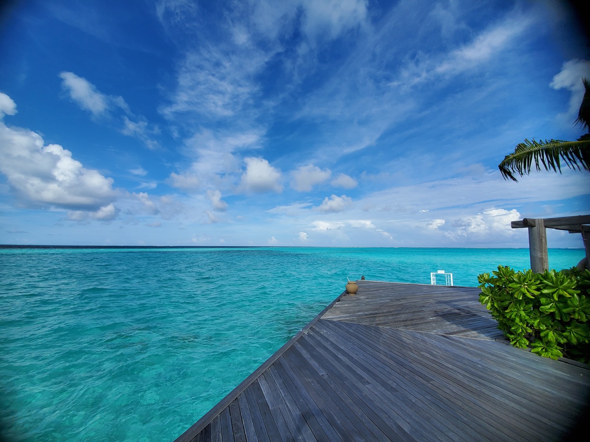 本日より営業開始