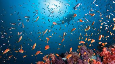 第10位 フォーシーズンズ リゾート モルディブ アット クダフラ