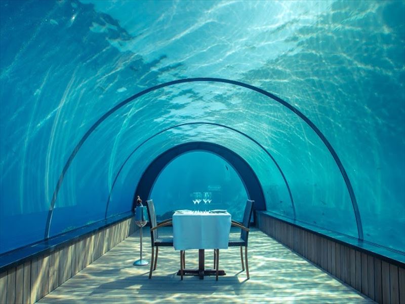 5.8 Underwater Restaurant1