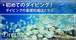 初めてのダイビング！ ダイビングの基礎知識はこちら